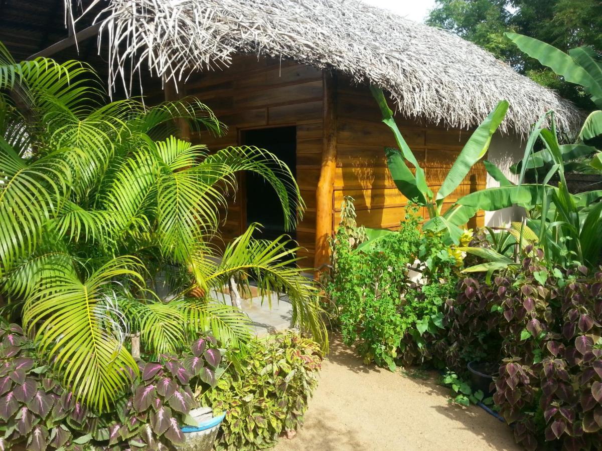 Garden Cottage Arugambay Arugam Bay Zimmer foto